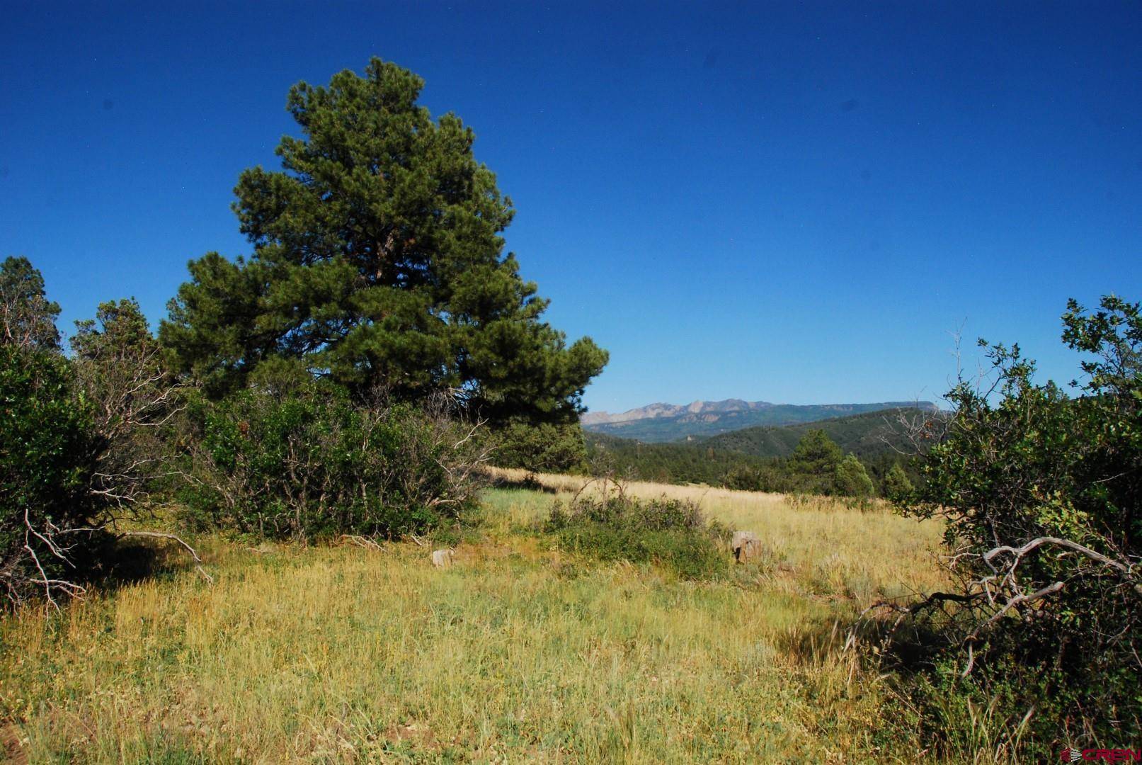 X US Hwy 84 #114, Pagosa Springs, CO 81147