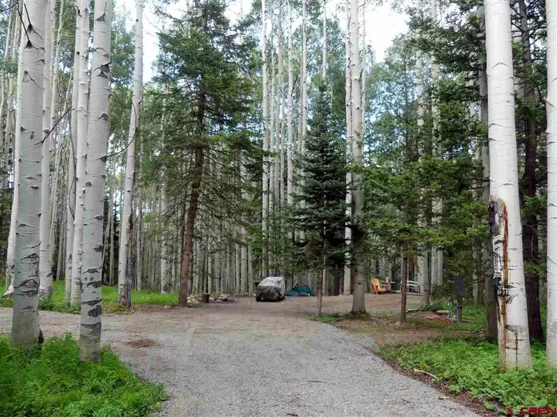 602 Columbine Drive, Cimarron, CO 81220