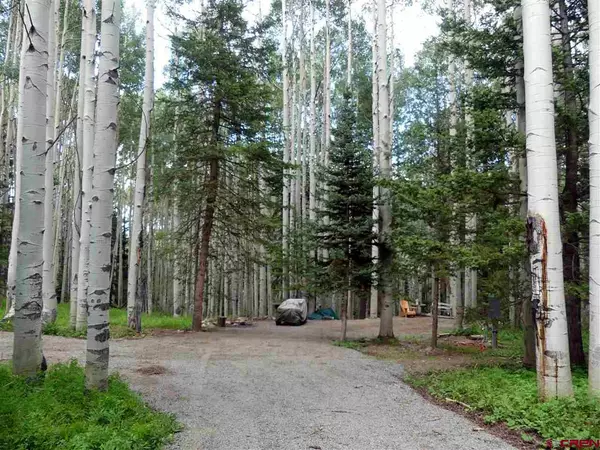 Cimarron, CO 81220,602 Columbine Drive