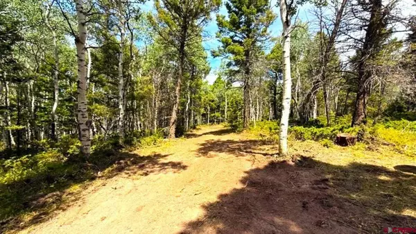 Cimarron, CO 81220,261 Crest Drive