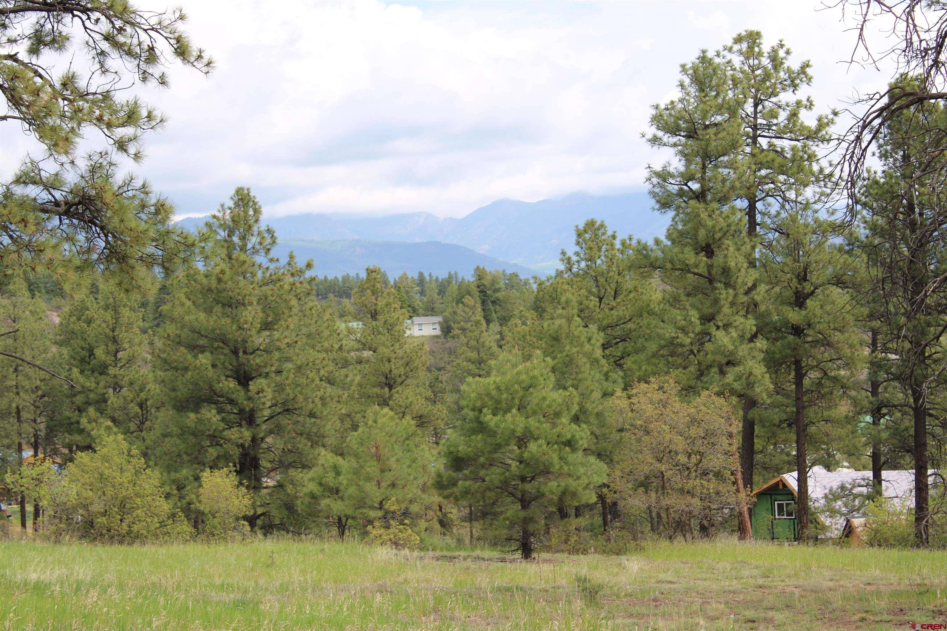 1531 W US Hwy 160, Pagosa Springs, CO 81147