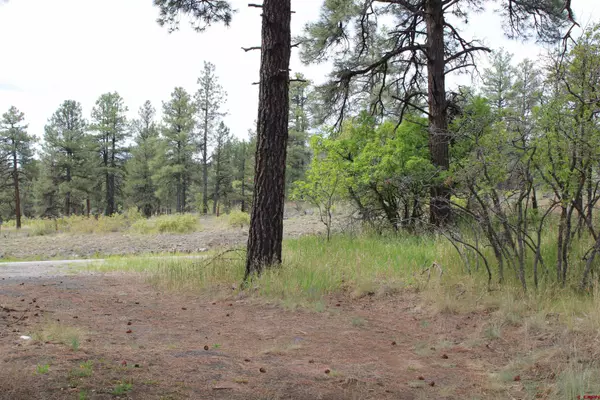 Pagosa Springs, CO 81147,1531 W Highway 160