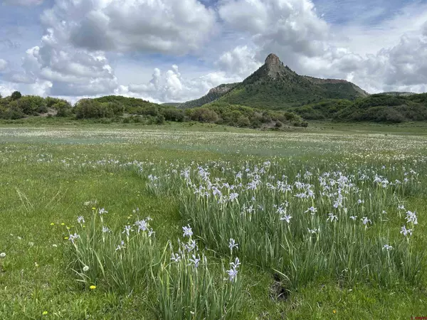Lot 77 Road 29.8, Cahone, CO 81320