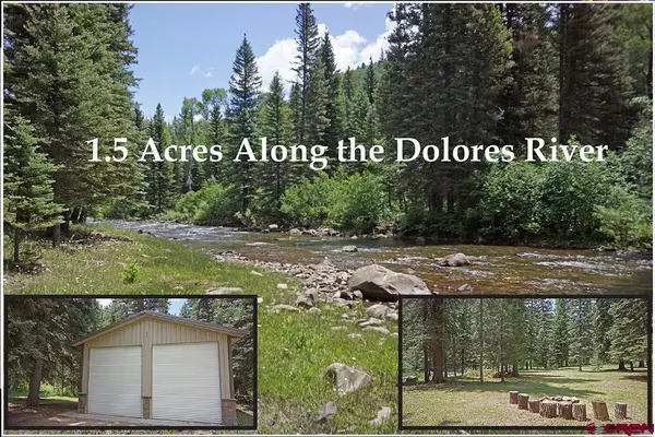 TBD Highway 145, Dolores, CO 81323
