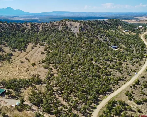 Mancos, CO 81328,TBD Road 35