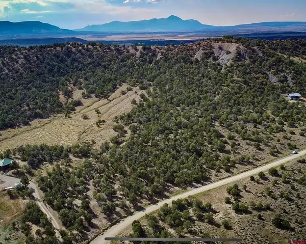 Mancos, CO 81328,TBD Road 35
