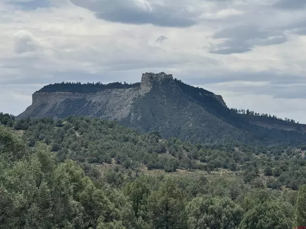Pagosa Springs, CO 81147,2241 S Rockcliff Circle