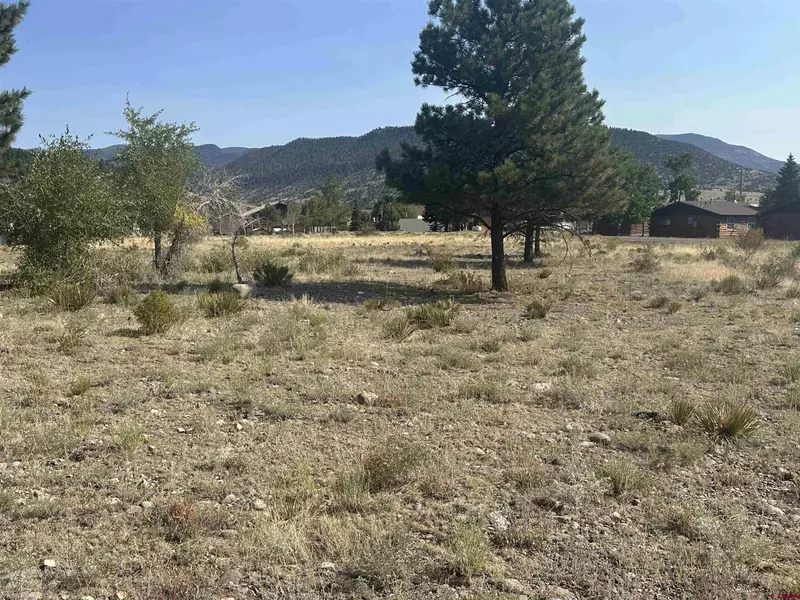 91 Willow Street, South Fork, CO 81154