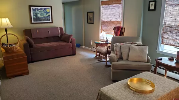 Paonia, CO 81428,217 Poplar Avenue