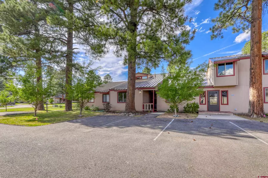 217 Pinon Causeway #3002, Pagosa Springs, CO 81147