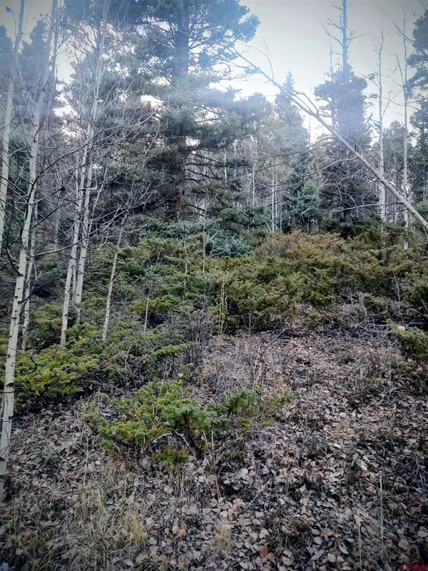 San Luis, CO 81152,LOT 6364 Jacquez Road