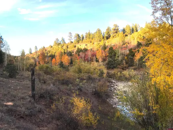 Norwood, CO 81423,2A W. Beaver Pines Loop