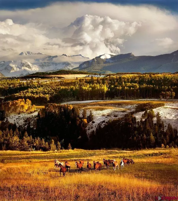 Telluride, CO 81435,DRR Last Dollar Road