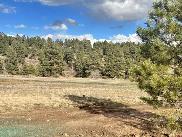 Pagosa Springs, CO 81147,37 Arroyo Court