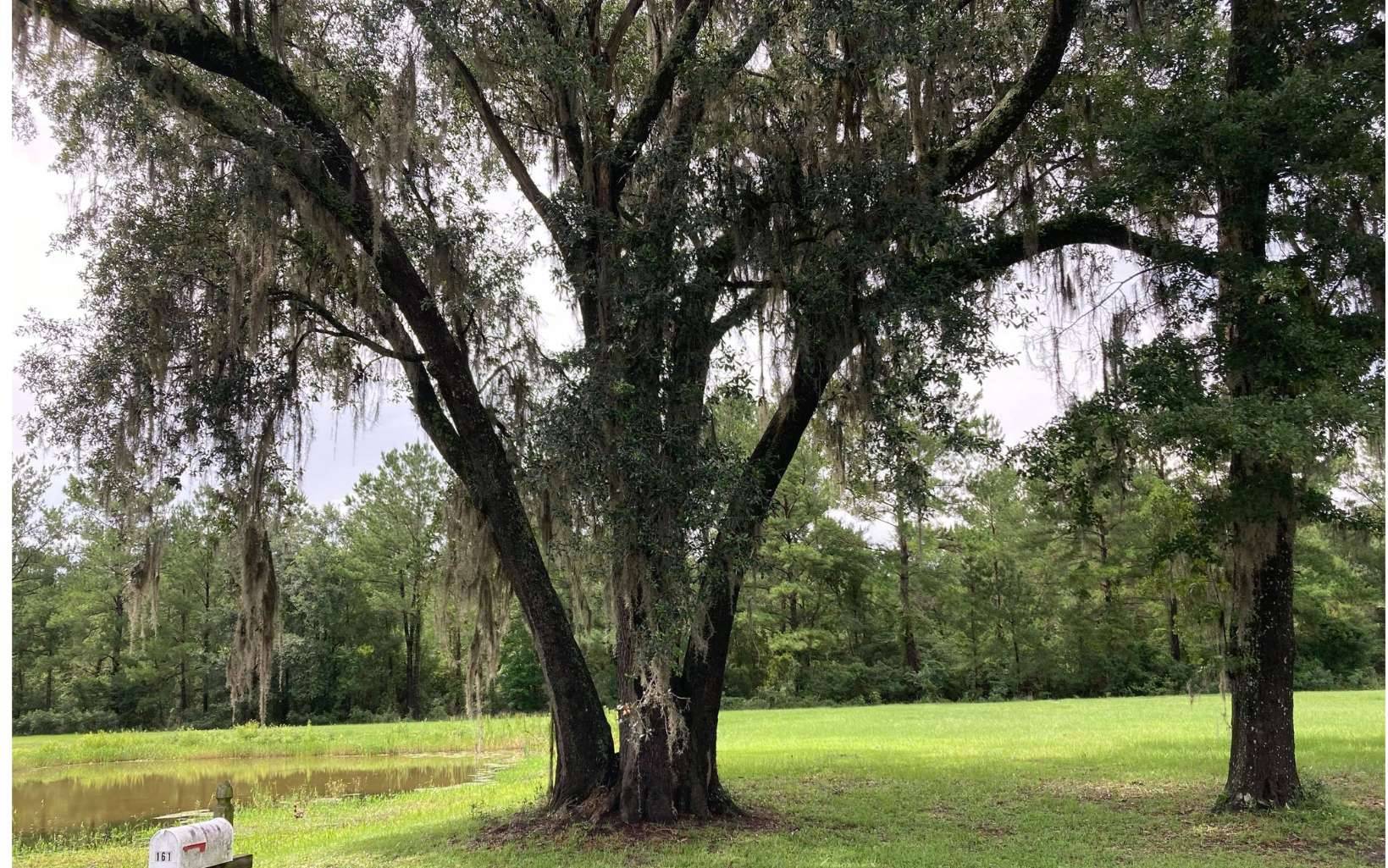 Lake City, FL 32025,161 CHALLENGER LANE
