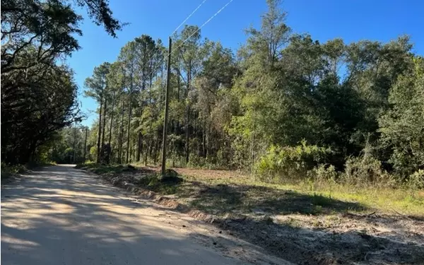 NE CASSIA DRIVE, Lee, FL 32059