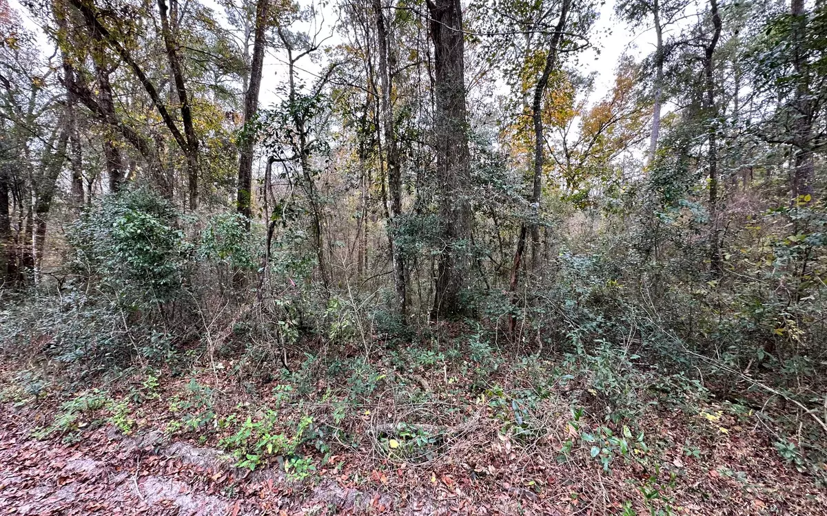 Live Oak, FL 32060,TBD 14TH PATH LOT 29