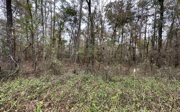 Live Oak, FL 32060,TBD 14TH PATH LOT 29