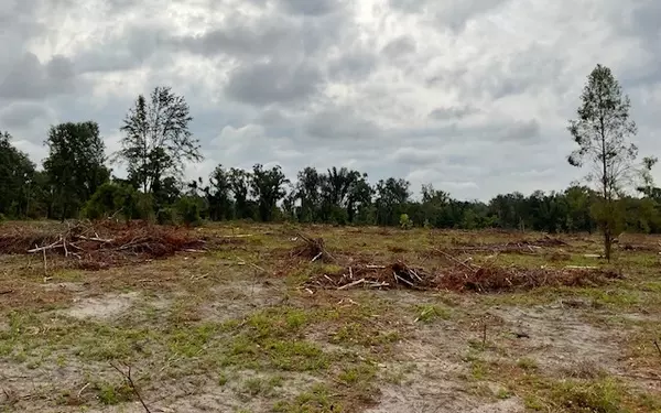 Jasper, FL 32052,SW 79TH DRIVE