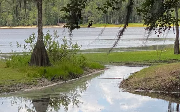 115 SE MAGNOLIA CT, Branford, FL 32038