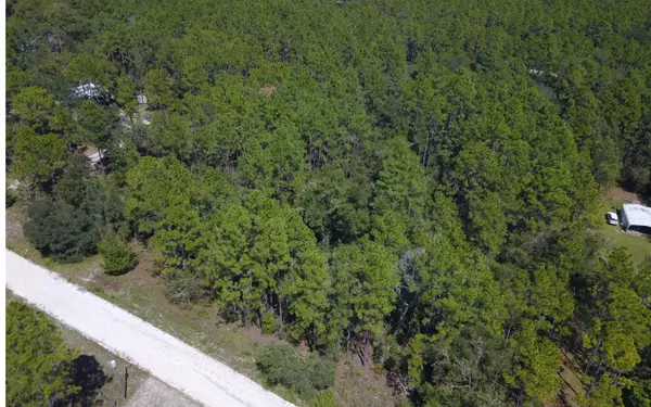 LOT 2 NW 17TH CT, Bell, FL 32619