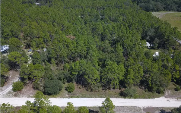 LOT 3 NW 17TH CT, Bell, FL 32619