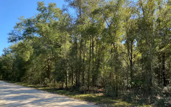 Obrien, FL 32071,120 ACRES ON 171ST ROAD