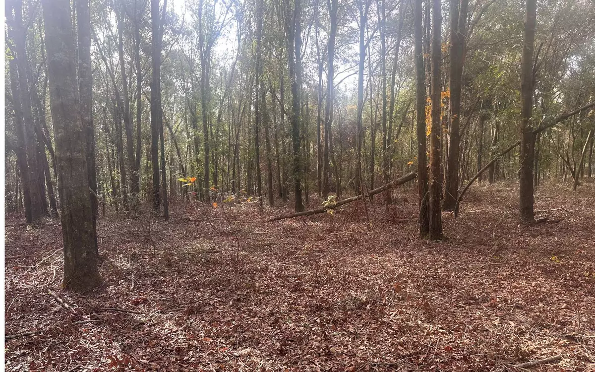 Live Oak, FL 32060,LOT 3 154TH CIRCLE