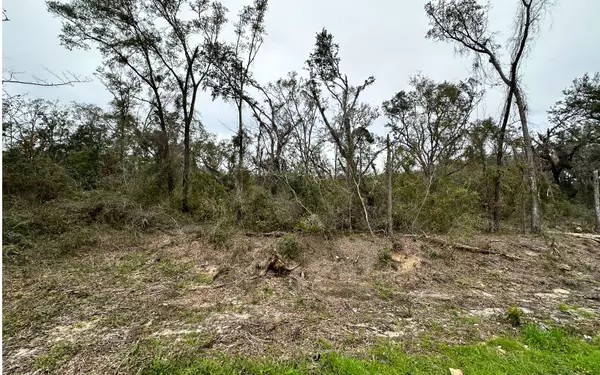 Madison, FL 32340,TBD E US 90