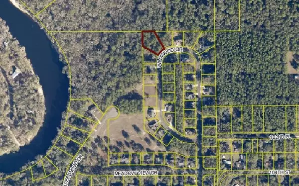 Dowling Park, FL 32064,TBD WILDWOOD CIR- LOT 16