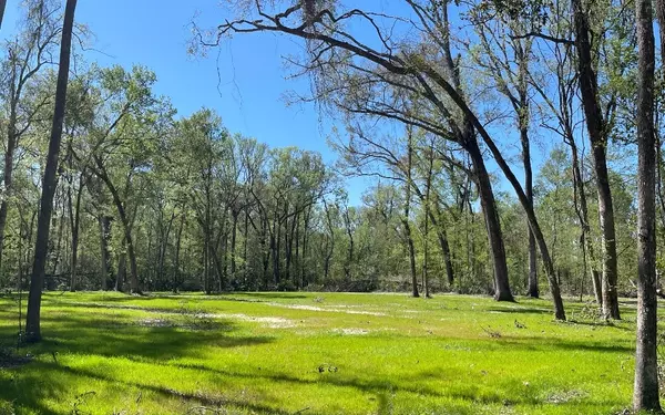 Fort White, FL 32038,158 SW BUMBLE