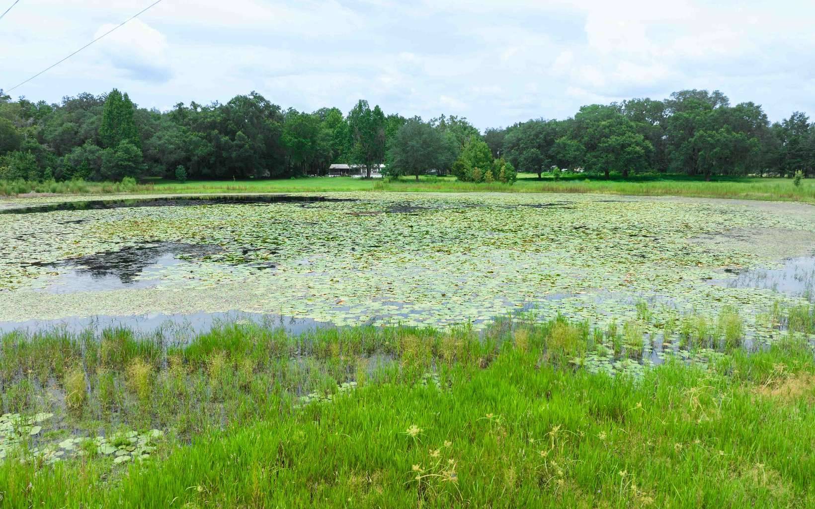 Live Oak, FL 32060,11066 89TH ROAD