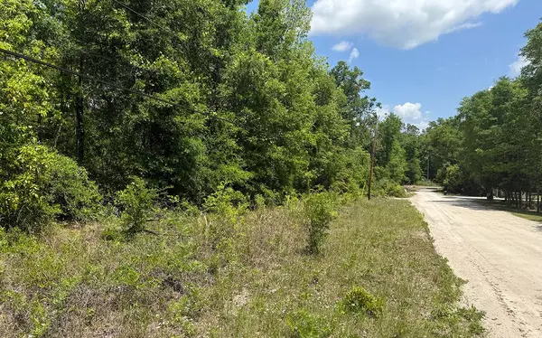 0 SW REDBUD GLEN, Fort White, FL 32038