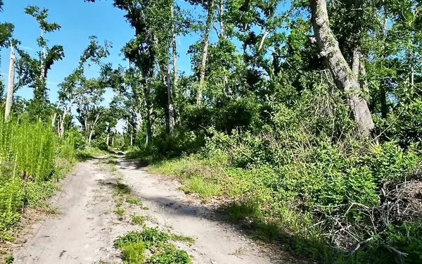 Mayo, FL 32066,VAC NW WEST SOUTH DR