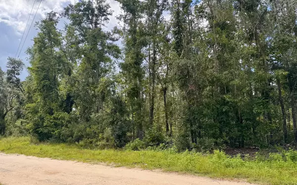 Jennings, FL 32053,LOT40 NW BLUE OAK LANE