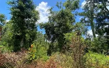 Other, FL 32331,SW MAIN STREET