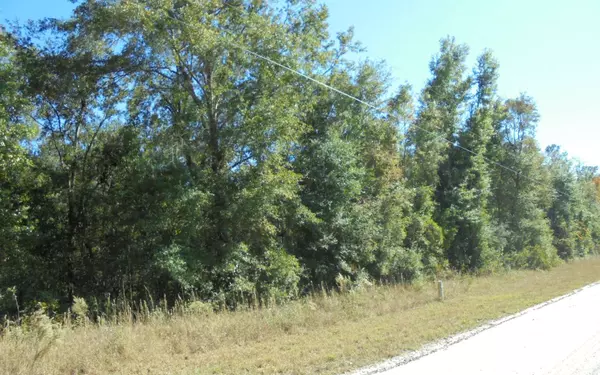 Obrien, FL 32071,109TH DRIVE