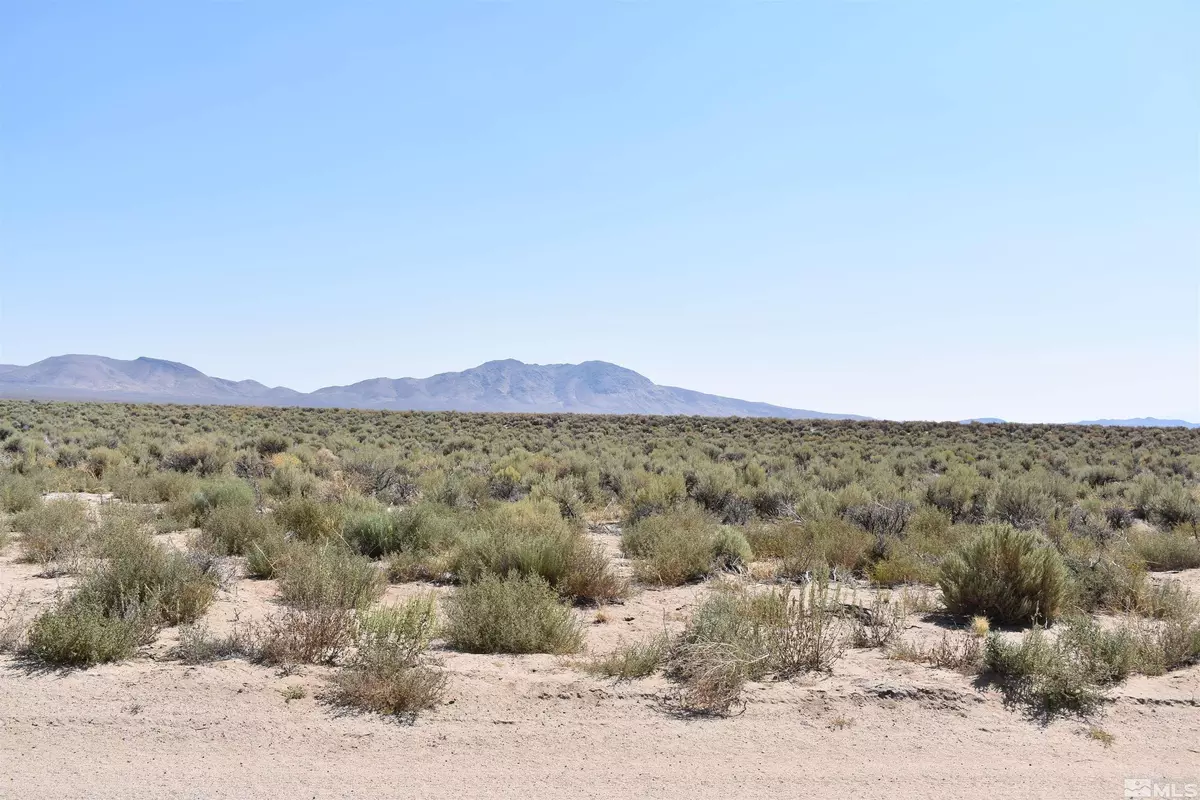 Smith, NV 89444,01018114 Jessen Parcel 3