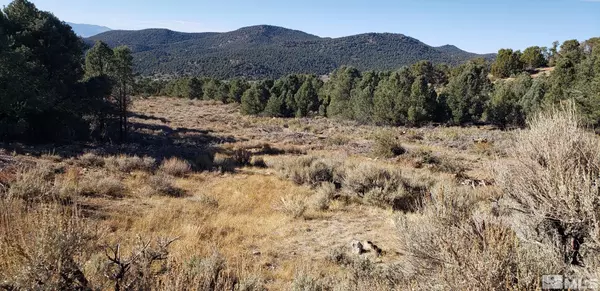 Minden, NV 89423,TBD Pine Nut Mountains (79)