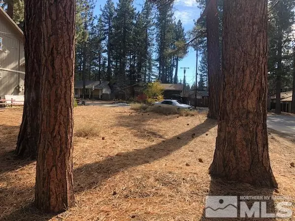 South Lake Tahoe, CA 96150,1185 Dot Street #51