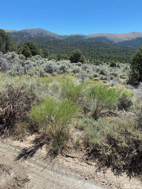 tbd El Dorado Canyon, Carson City, NV 89705