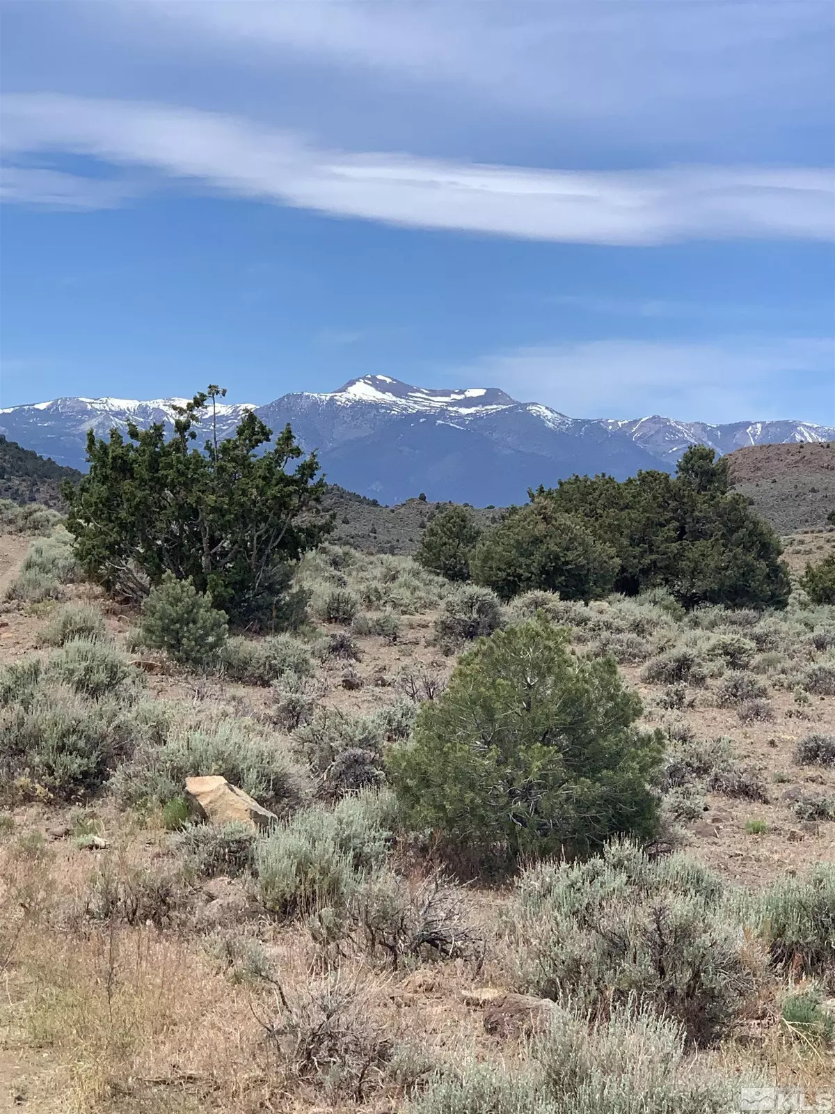 Virginia City, NV 89440,Lot 3S Lousetown #Lot 3S