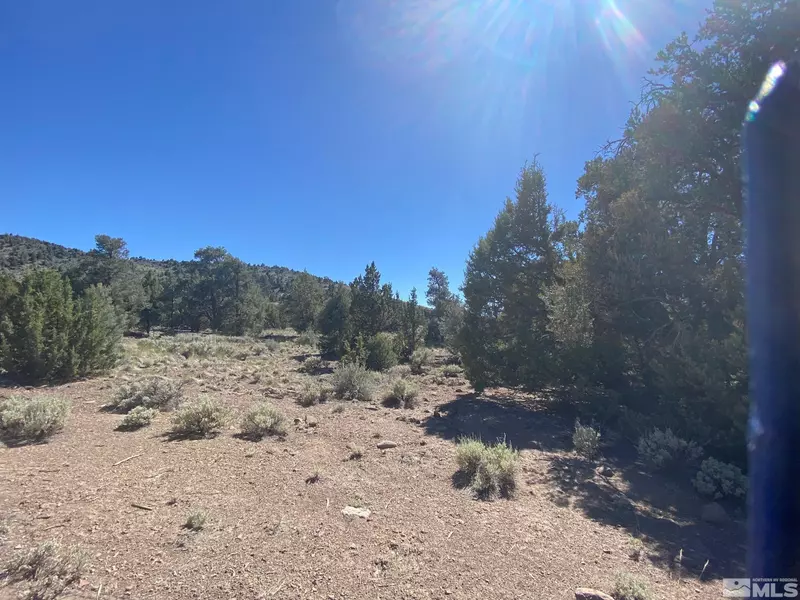 TBD Pine Nut Mountains (28) #28, Gardnerville, NV 89410