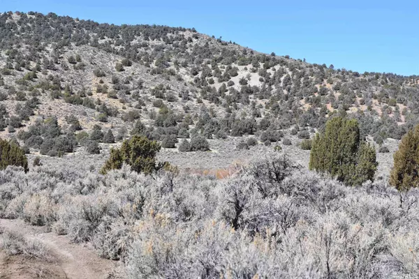 Gardnerville, NV 89410,TBD South of Buckeye Ranch (101) #101