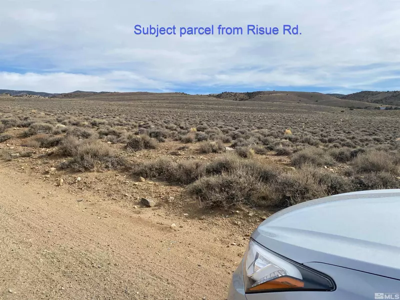 0000 Risue Rd., Topaz, NV 89410