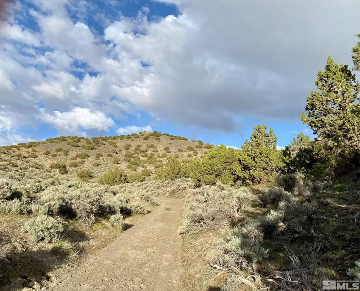 00819009 Imlay Canyon, Imlay, NV 89418