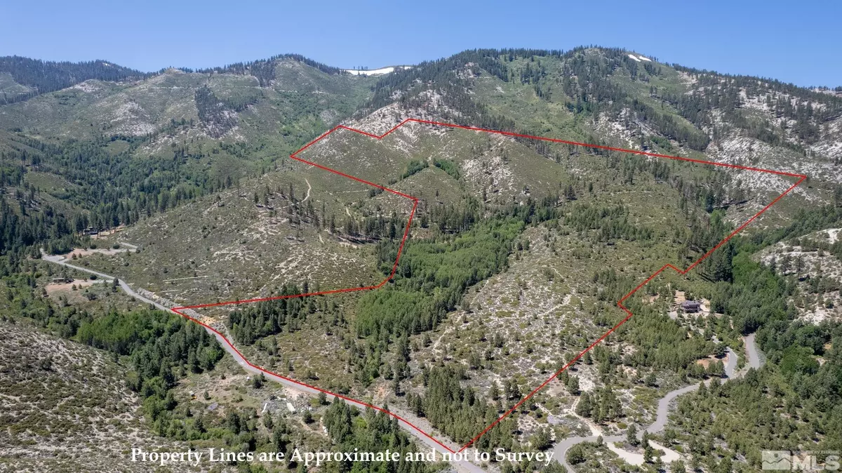 Washoe Valley, NV 89704,7805 Musgrove Creek Dr