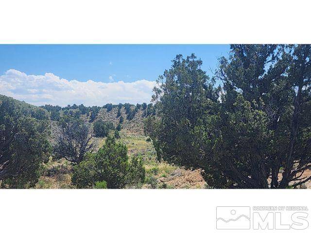Montello, NV 89830,1 Twelvemile Cny Rd
