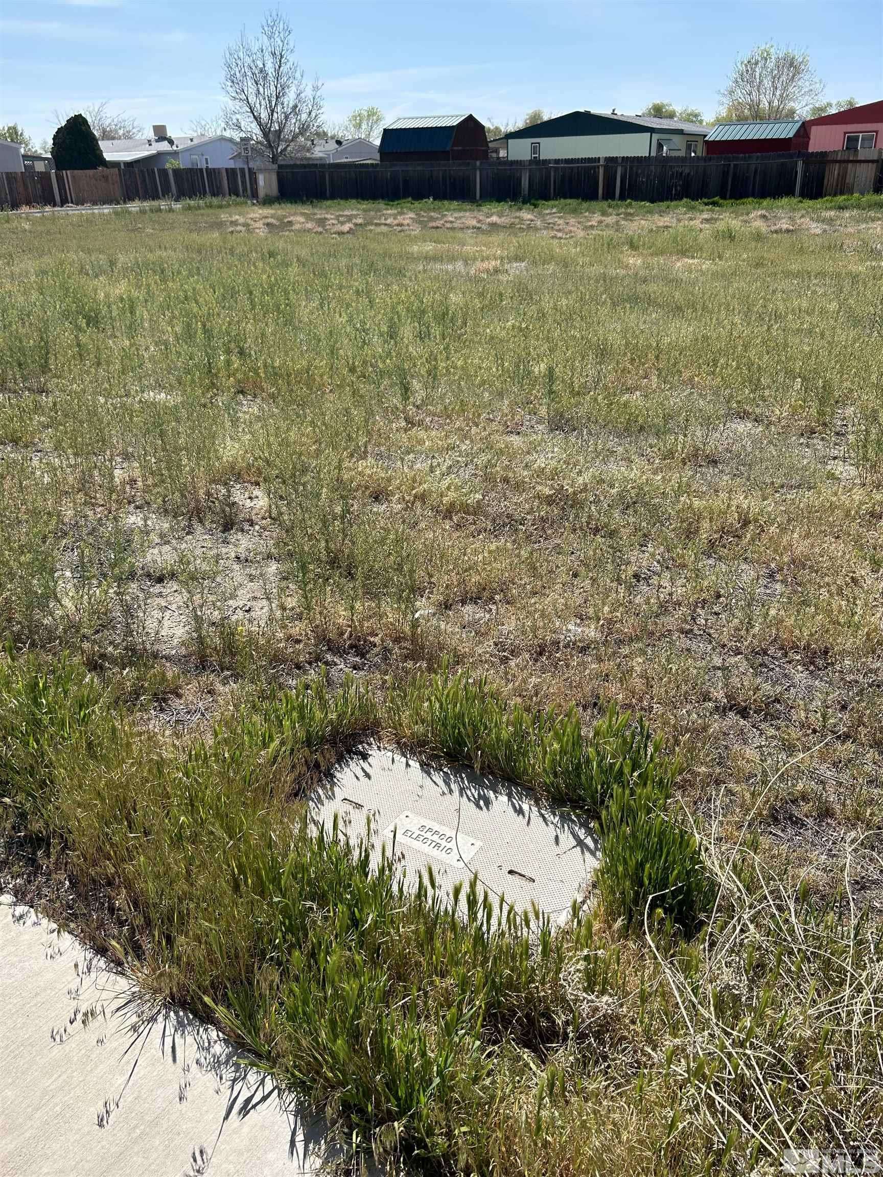 Fallon, NV 89406,670 Desert Springs Ct #4 lots