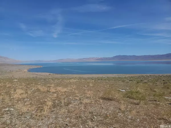 Walker Lake, NV 89415,APN 008-170-11